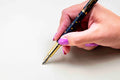 Dream Fountain Pen
