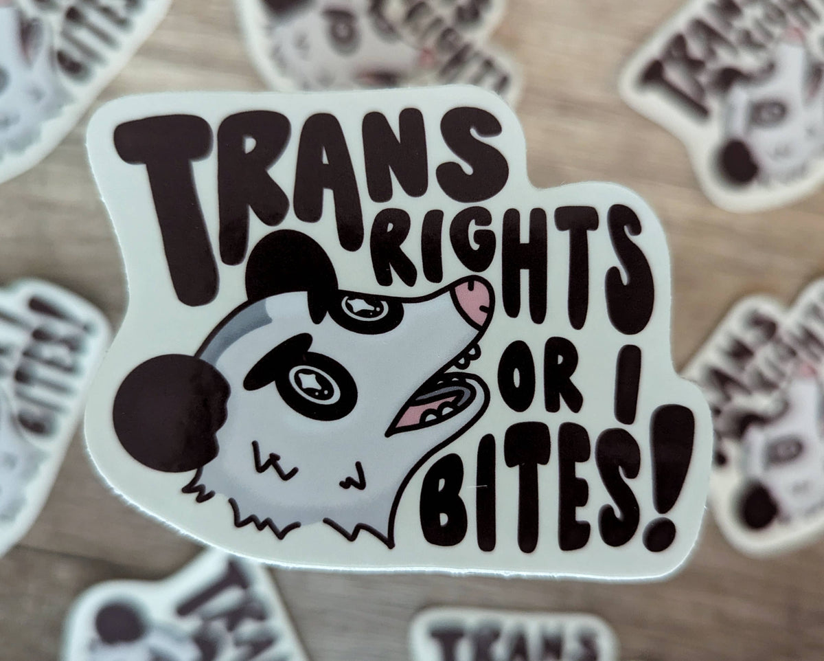 Trans Rights or I Bites - Cute Possum Vinyl Sticker LGBTQIA+